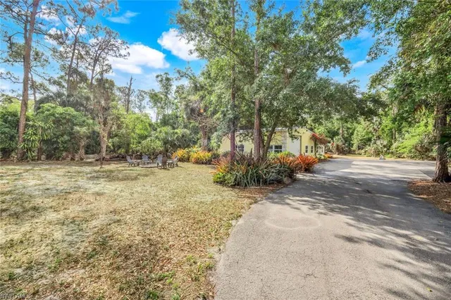 a view of road with large trees