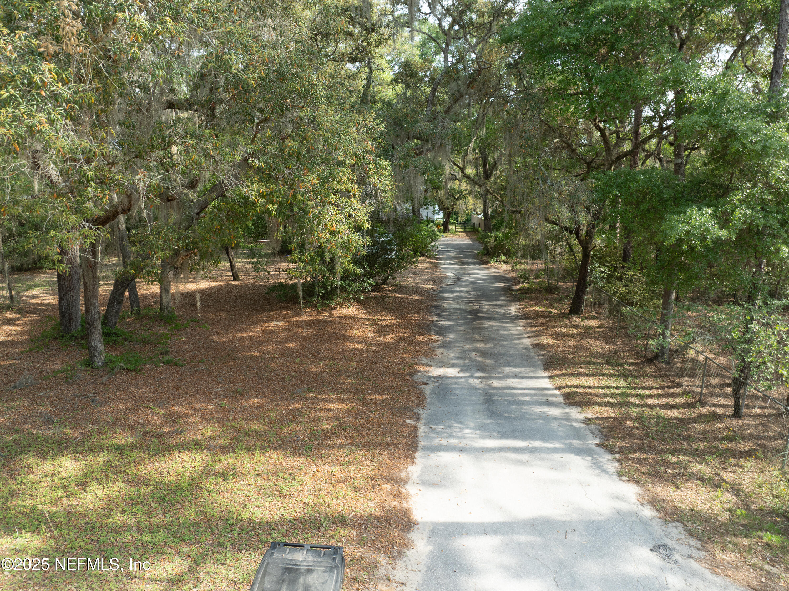 5915 White Sands Road Keystone Heights, FL 32656 - Photo 41 of 47 a view of a yard with plants and trees