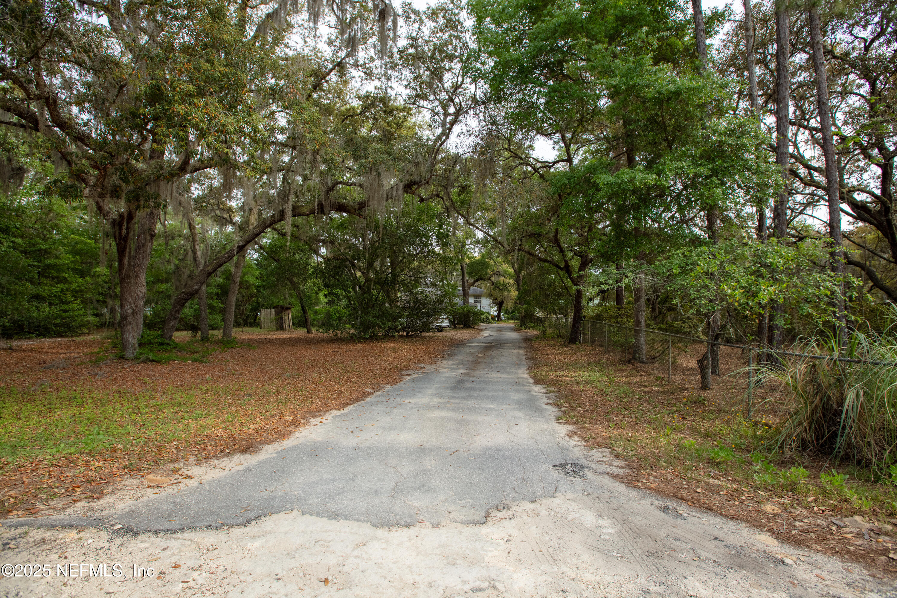 5915 White Sands Road Keystone Heights, FL 32656 - Photo 42 of 47 a view of a yard with trees