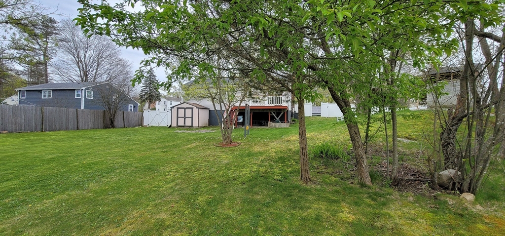 5 Brewster Road Randolph, MA 02368 - Photo 6 of 21 a view of a house with backyard and a tree