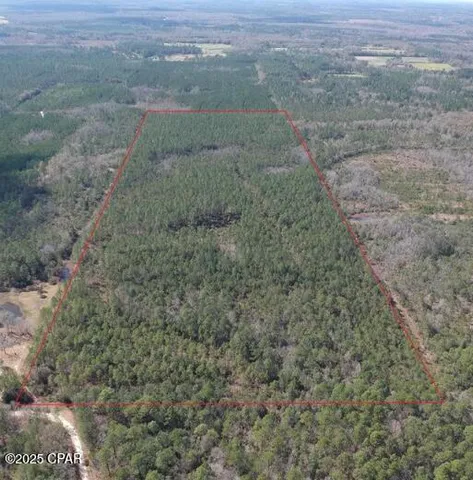 $270,000 | 60-acres J W Miller Road, Bonifay, FL 32425