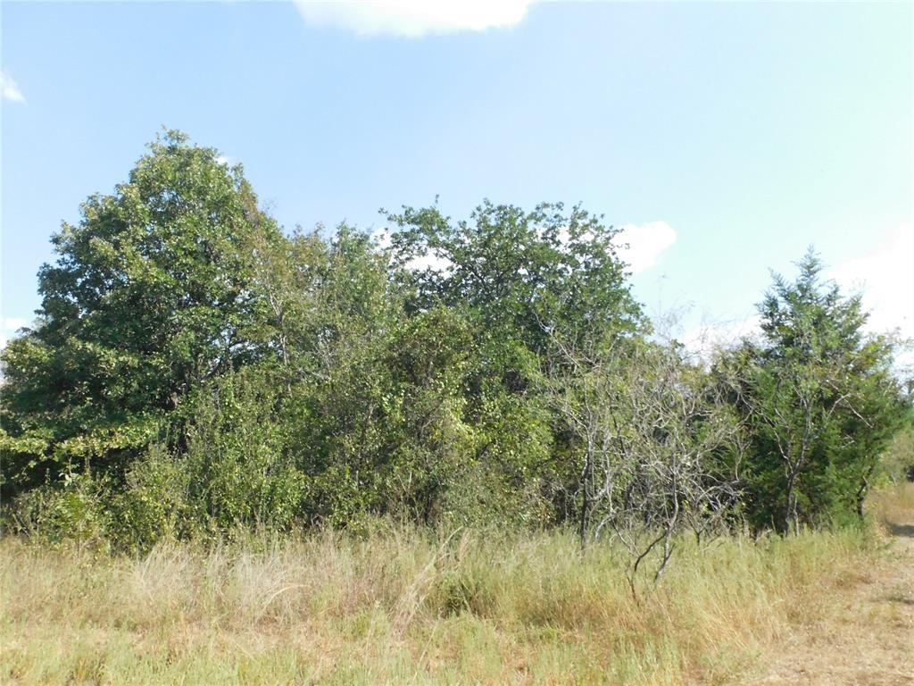 451 Hcr3335 Road Hubbard, TX 76648 - Photo 18 of 20