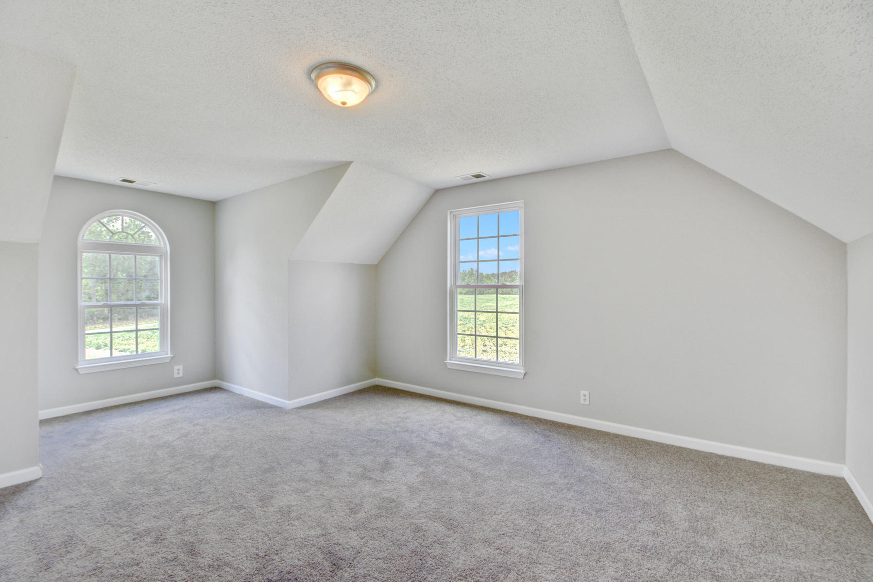 1296 Zion Road Dorchester, SC 29437 - Photo 18 of 28 Topher 1296 Zion Road (17)