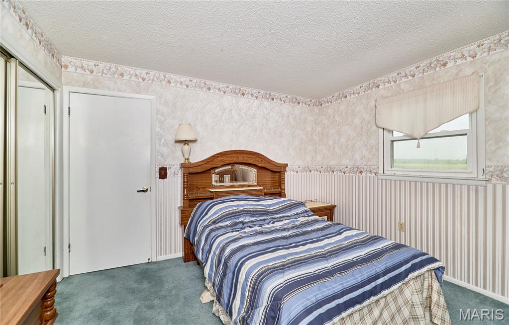 339 White Road Hawk Point, MO 63349 - Photo 18 of 37