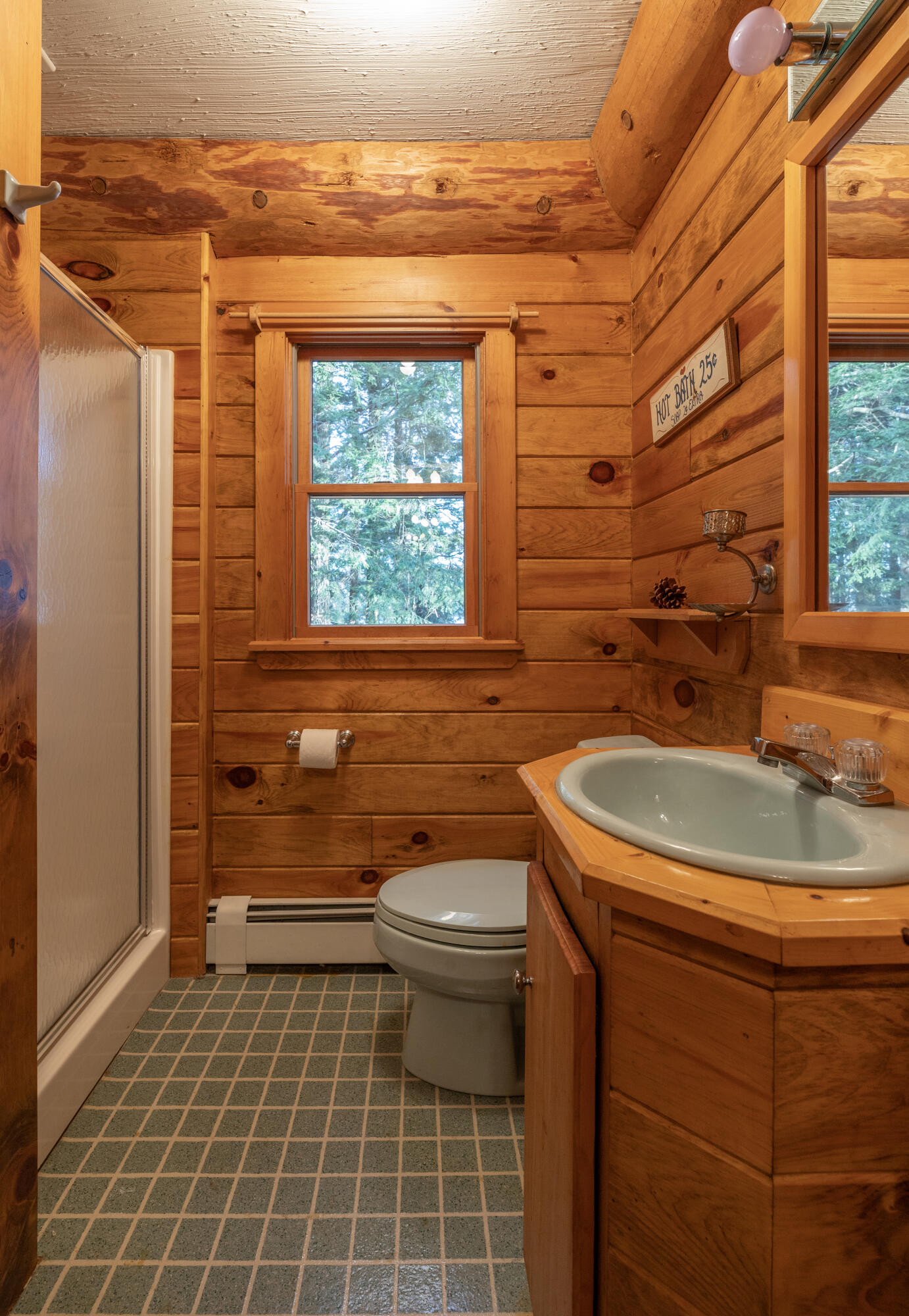 149 Carey Lane Freedom, ME 04941 - Photo 20 of 71 IMG_9003