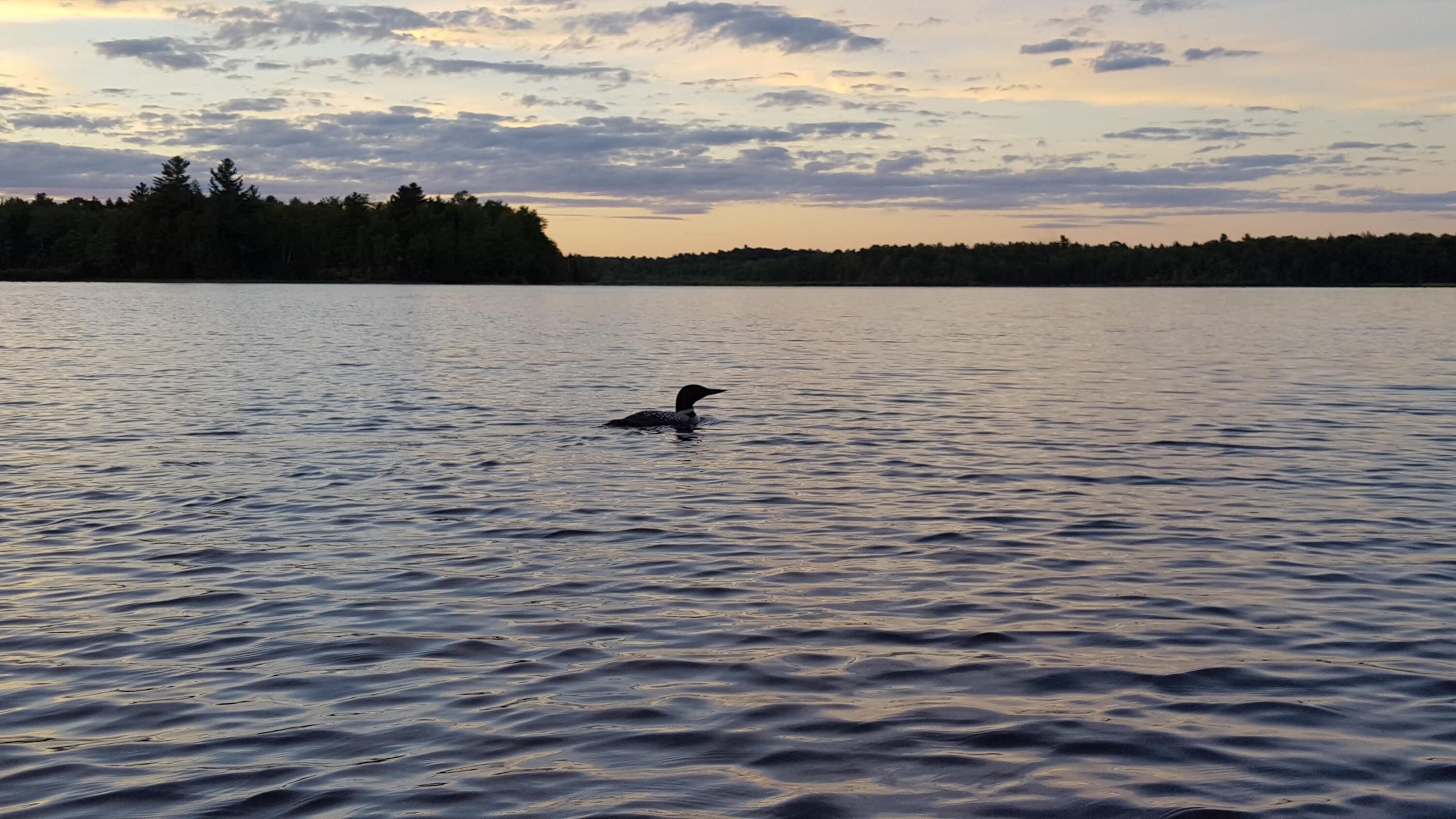149 Carey Lane Freedom, ME 04941 - Photo 66 of 71 20160730_200643