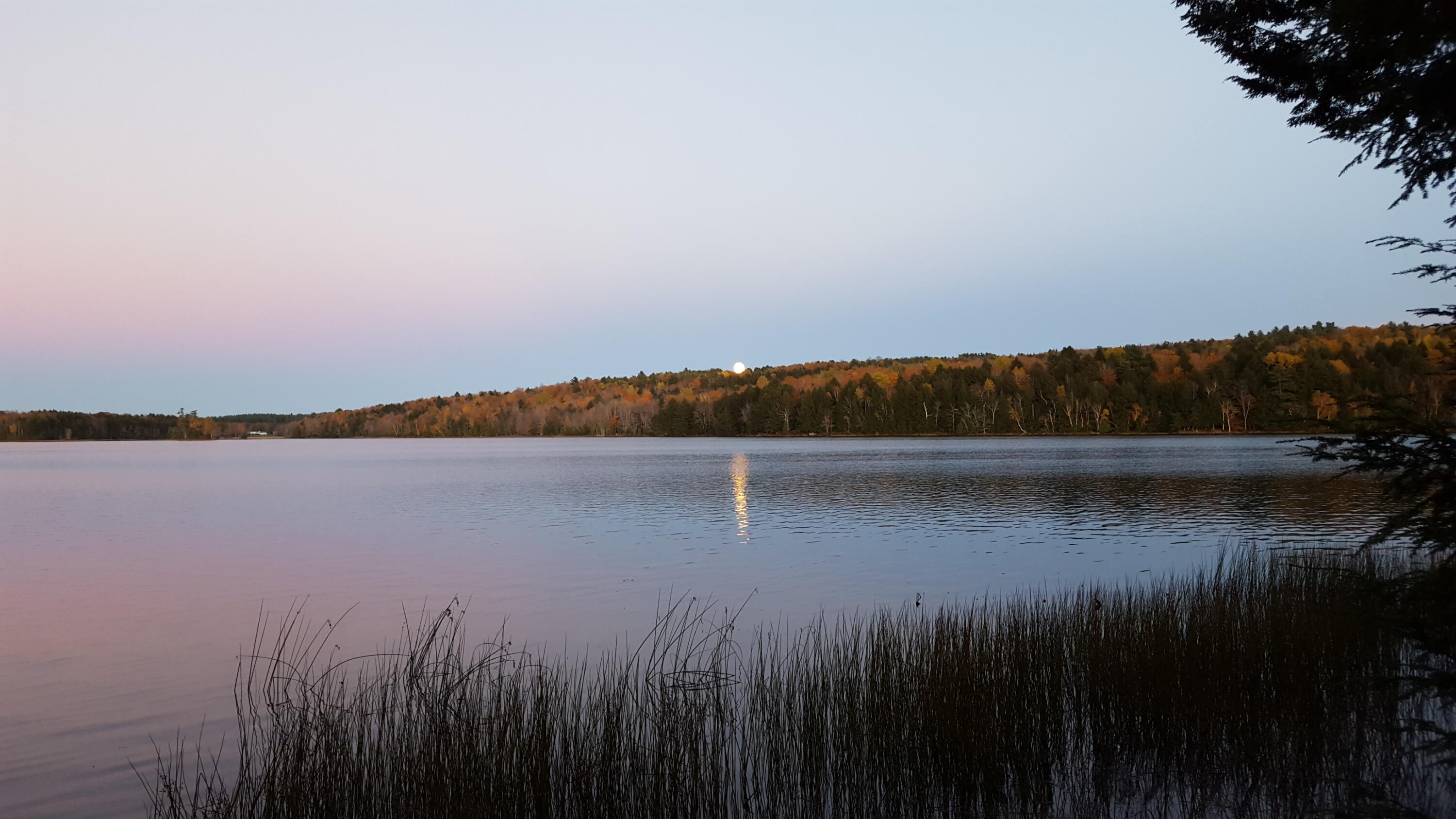 149 Carey Lane Freedom, ME 04941 - Photo 67 of 71 20151026_174540_001