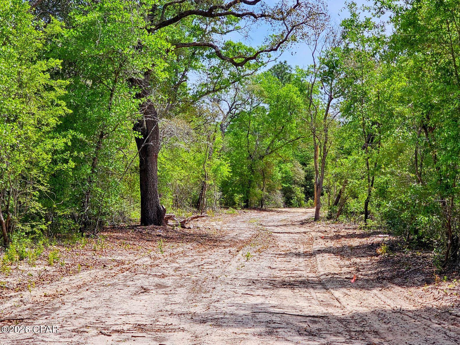 21955 Mudge Road Fountain, FL 32438 - Photo 4 of 9