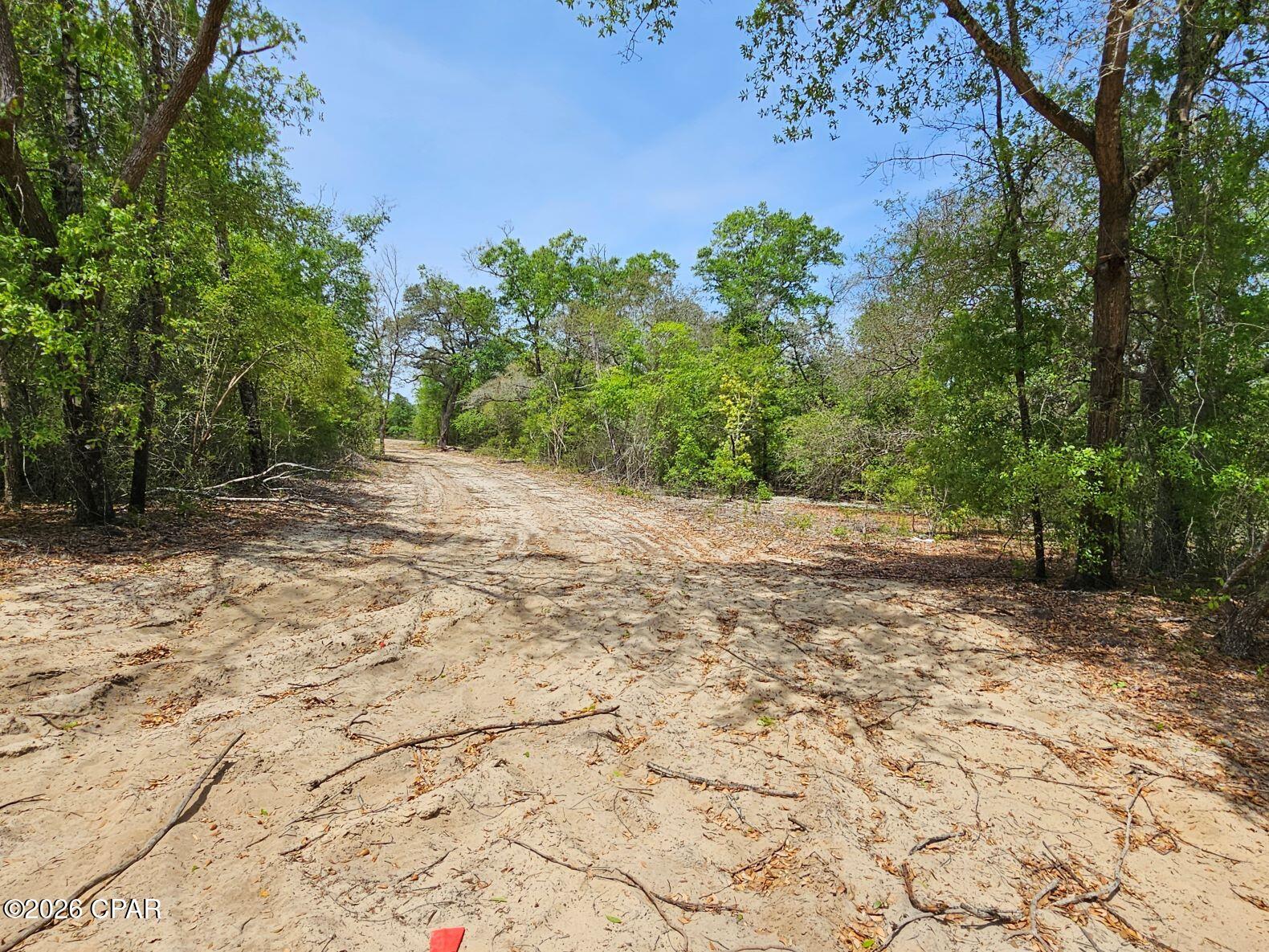 21955 Mudge Road Fountain, FL 32438 - Photo 5 of 9