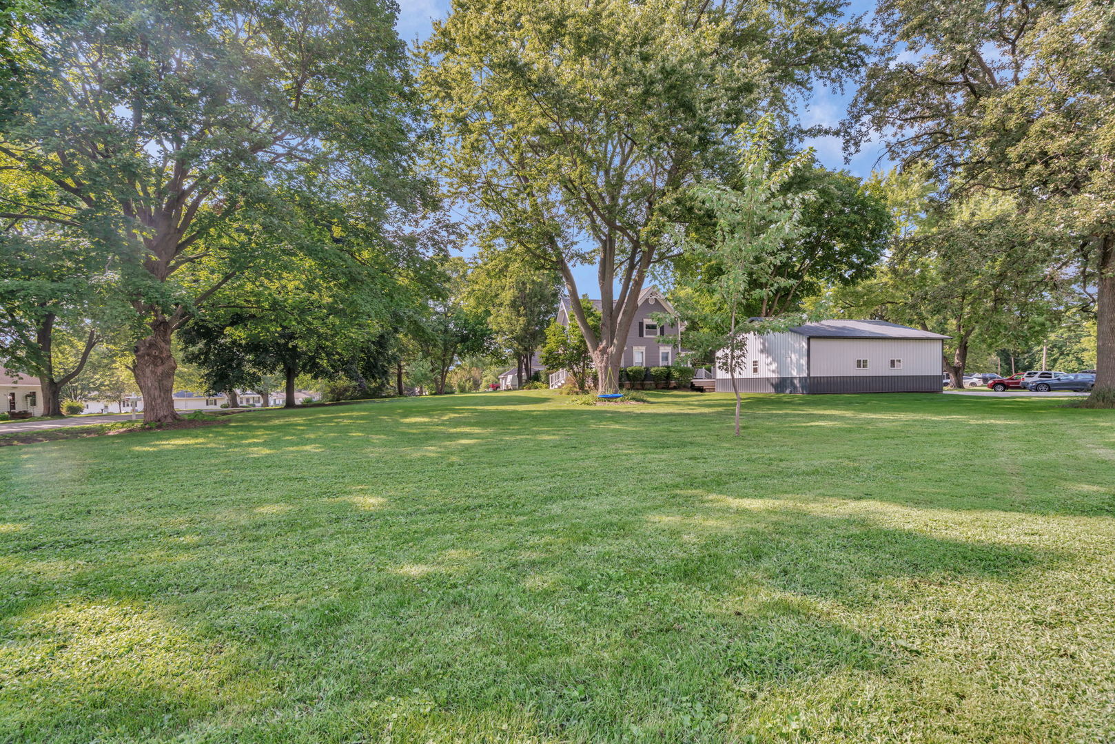 313 East George Street Odell, IL 60460 - Photo 12 of 44 a view of a park with large trees