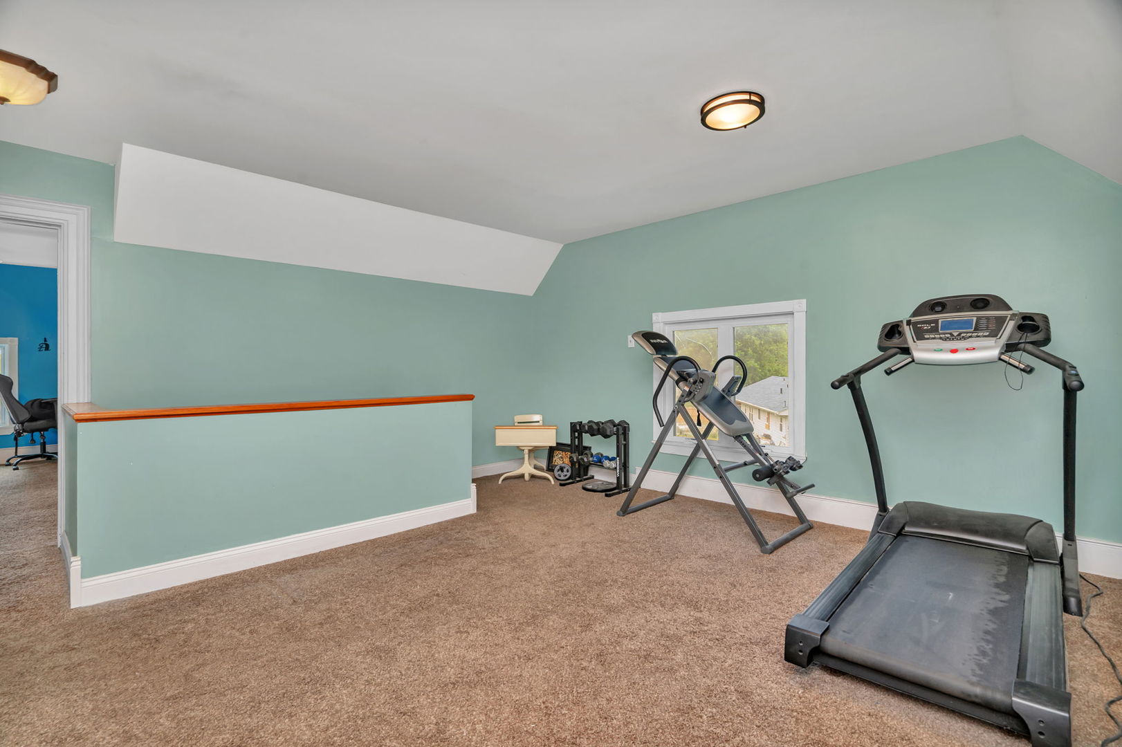 313 East George Street Odell, IL 60460 - Photo 34 of 44 a view of a room with gym equipment