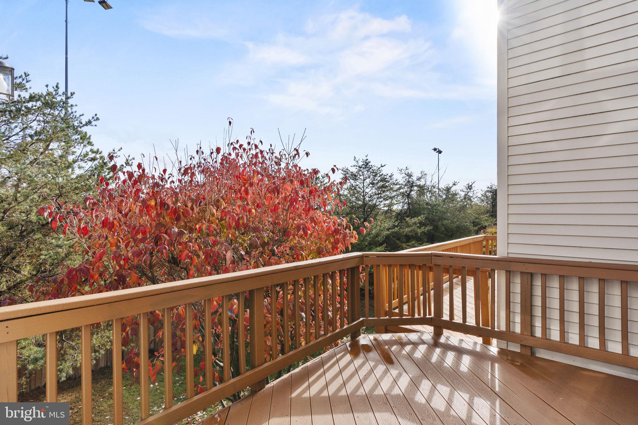 7319 Oldham Leeds Way Springfield, VA 22150 - Photo 8 of 25
