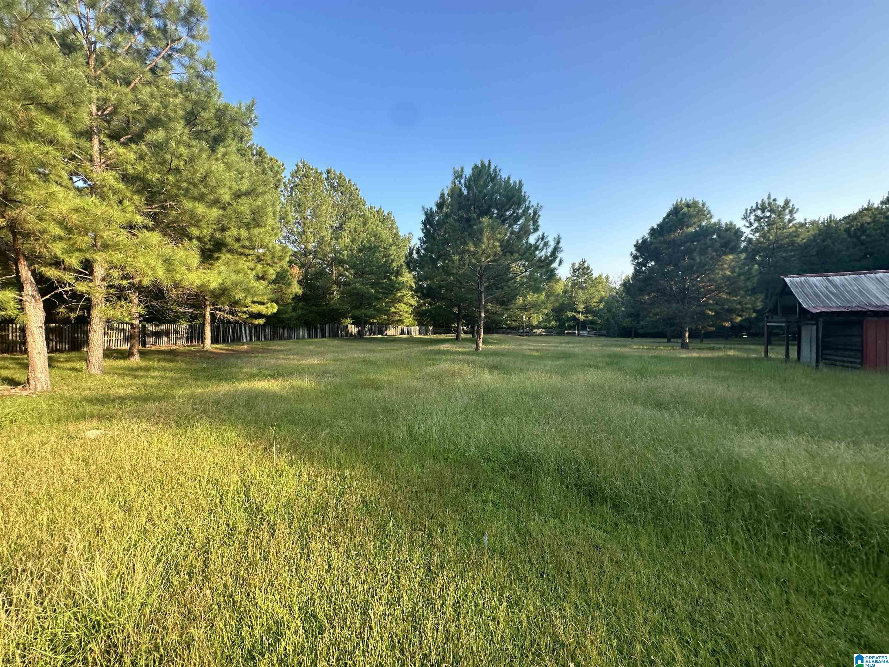 0 Honeycut Road Randolph, AL 36792 - Photo 23 of 29