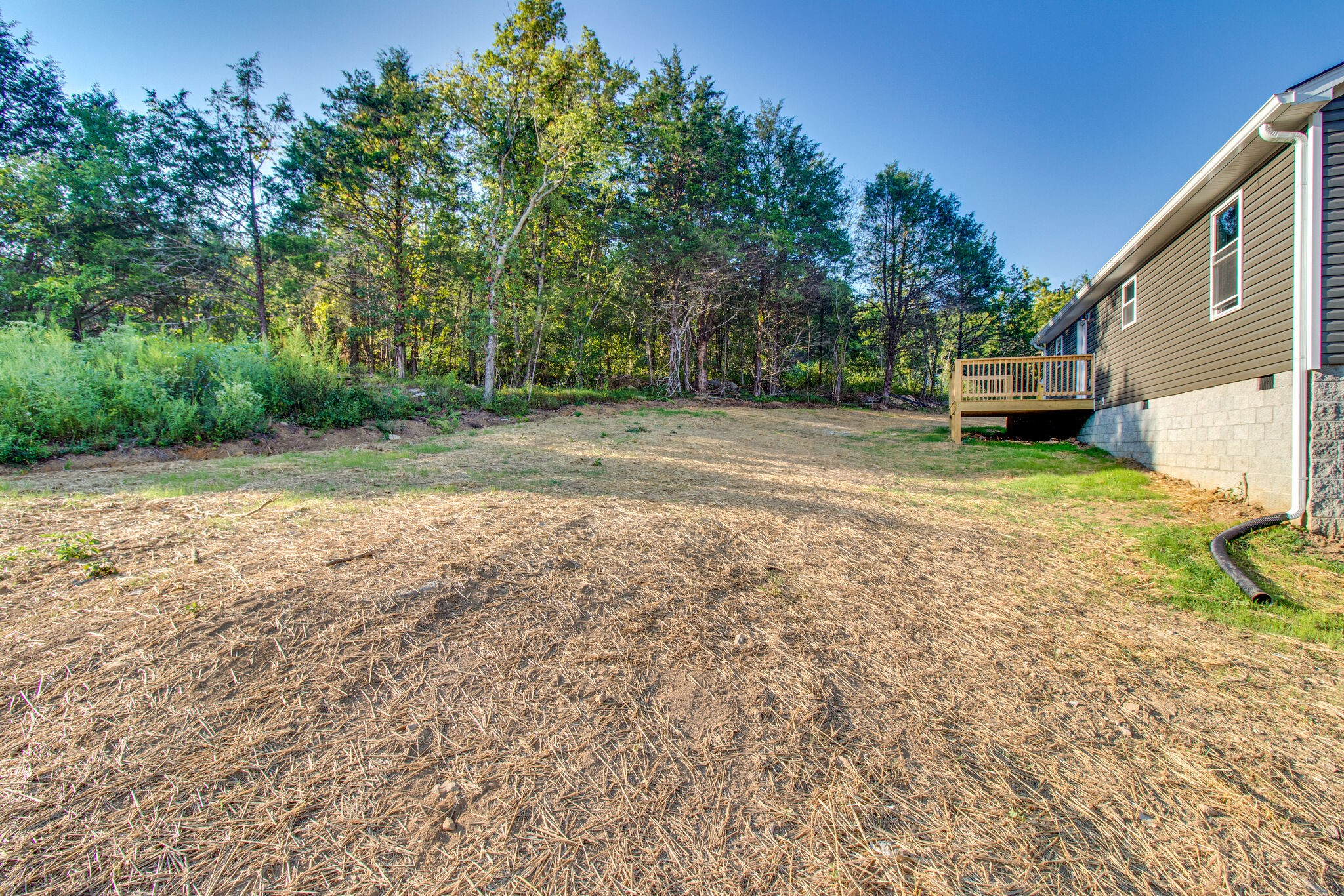 270 Club Springs Road Elmwood, TN 38560 - Photo 7 of 27 Gallery Image 7