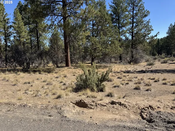 a view of a yard covered in snow