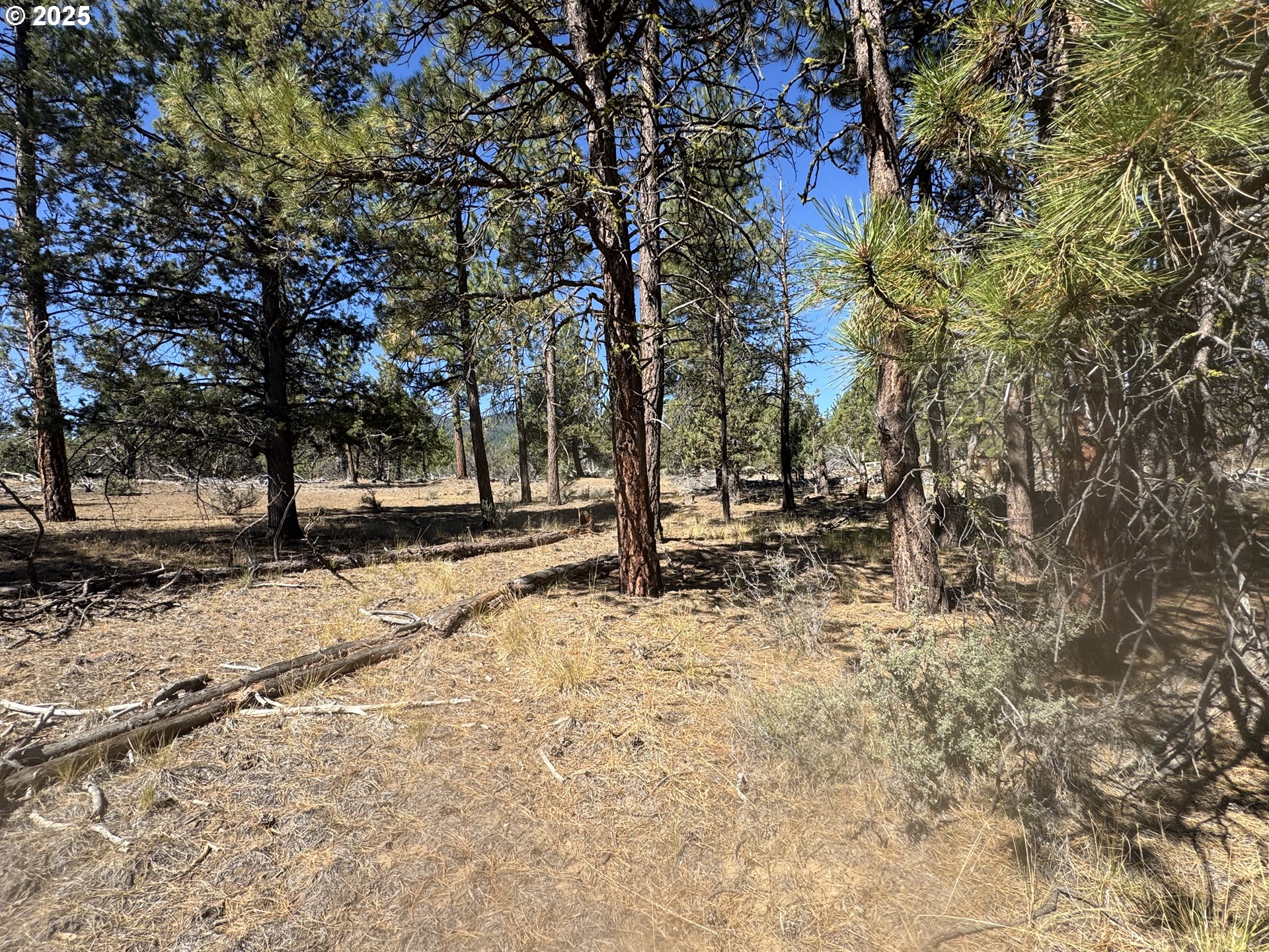 32818 Jean Street Chiloquin, OR 97624 - Photo 11 of 37 a view of road with trees