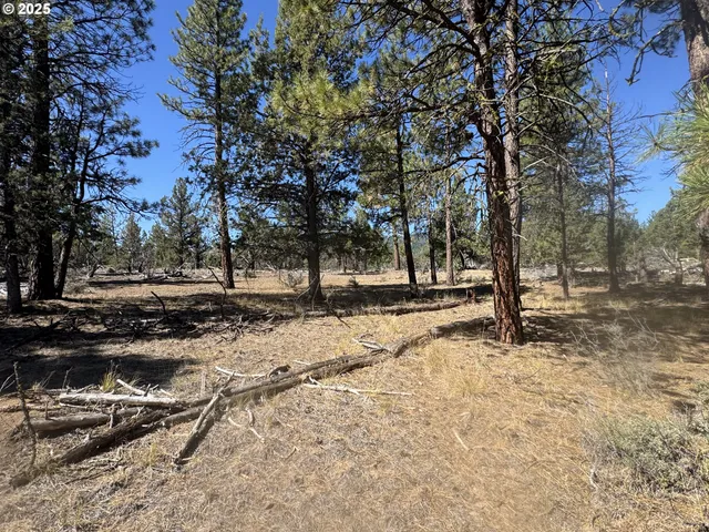 a view of a outdoor space with chairs