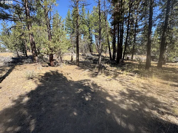 a view of road with snow on the road