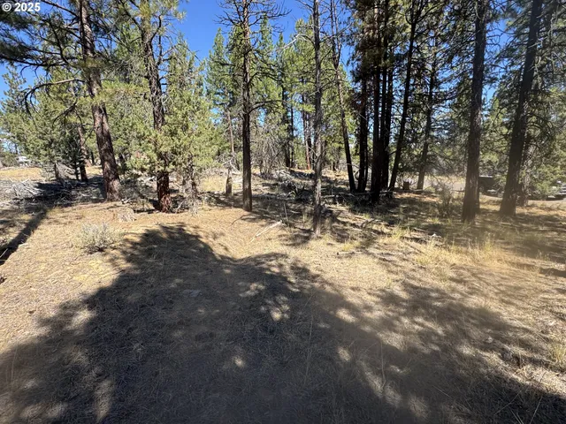 a view of road with snow on the road