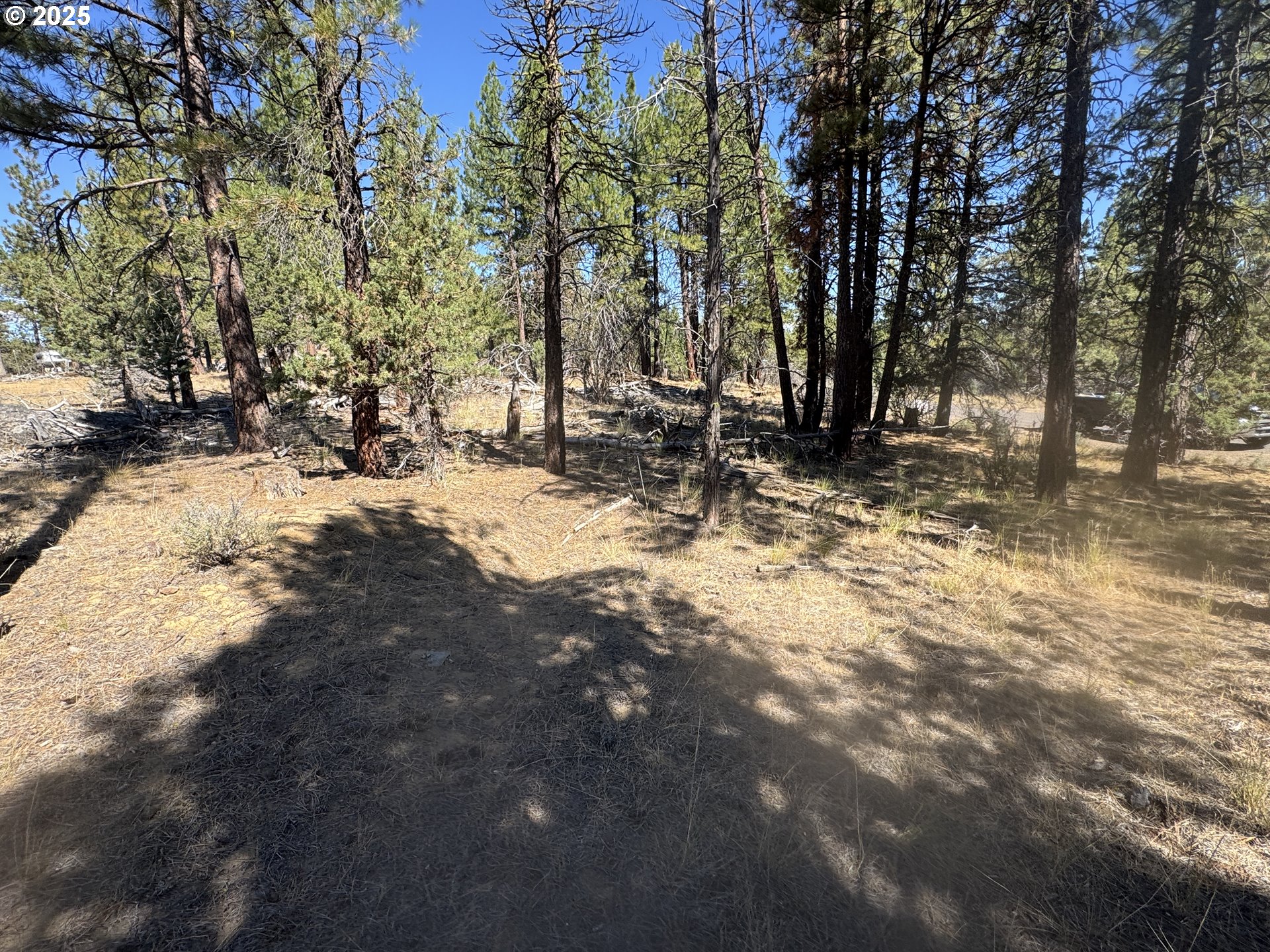 32818 Jean Street Chiloquin, OR 97624 - Photo 13 of 37 a view of a yard with trees