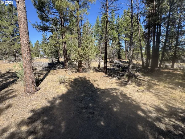 a view of a snow on the road