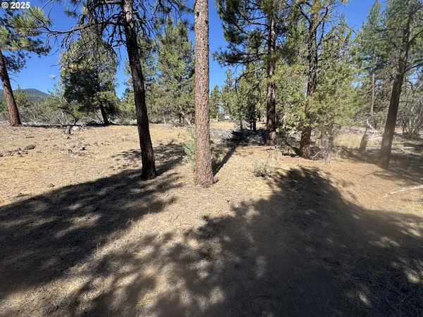 a view of yard covered with snow
