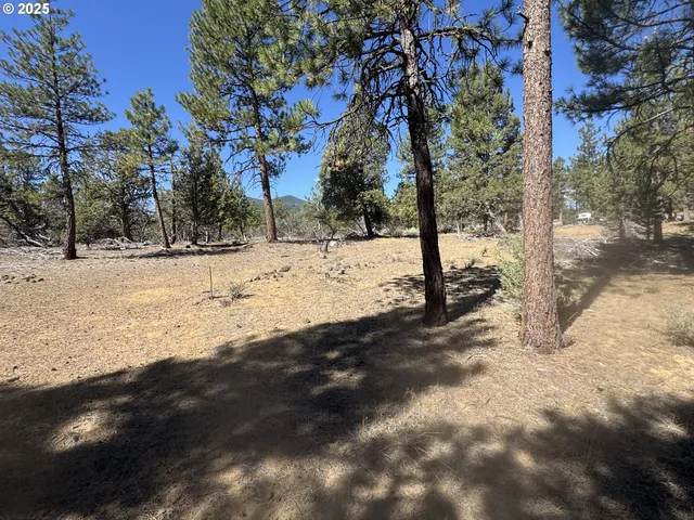 a view of ocean with trees