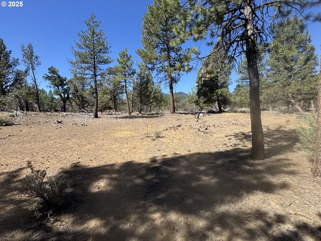 a view of a yard with a tree