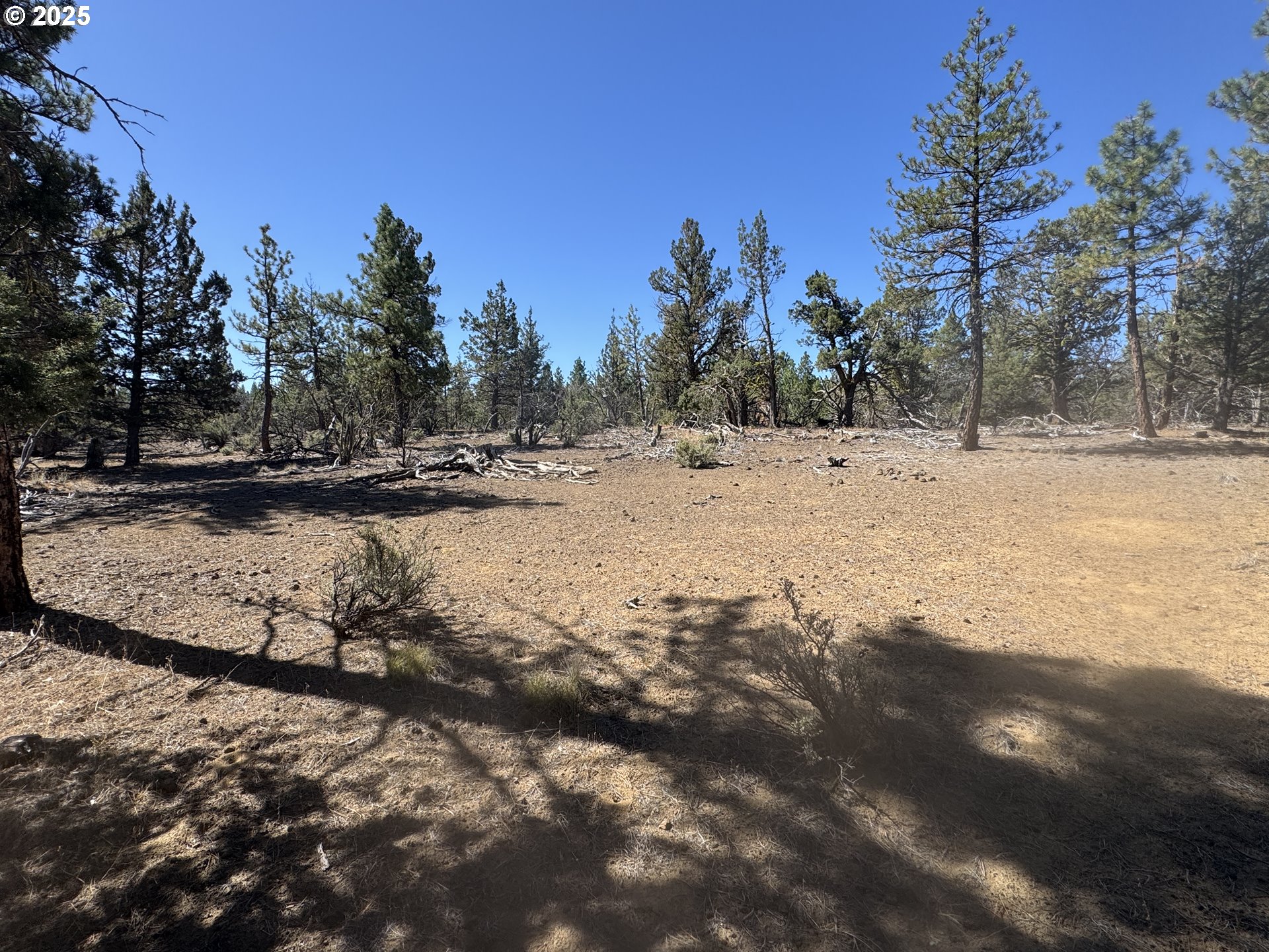 32818 Jean Street Chiloquin, OR 97624 - Photo 18 of 37 a view of ocean with trees