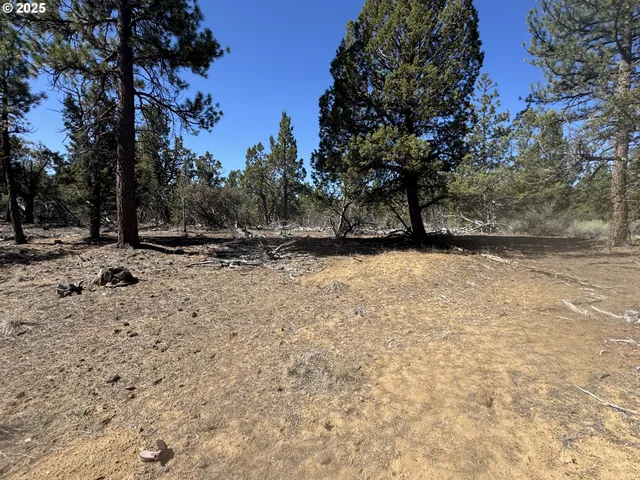 a view of a yard with trees