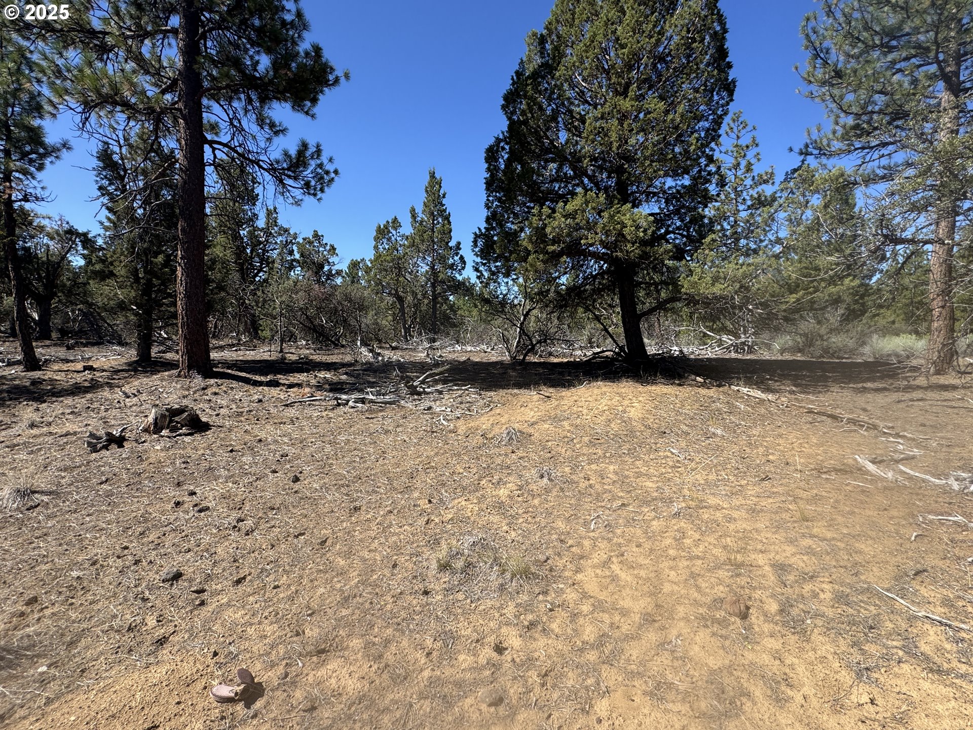 32818 Jean Street Chiloquin, OR 97624 - Photo 19 of 37 a view of a yard with a tree