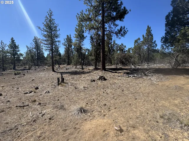 a view of a yard covered with snow