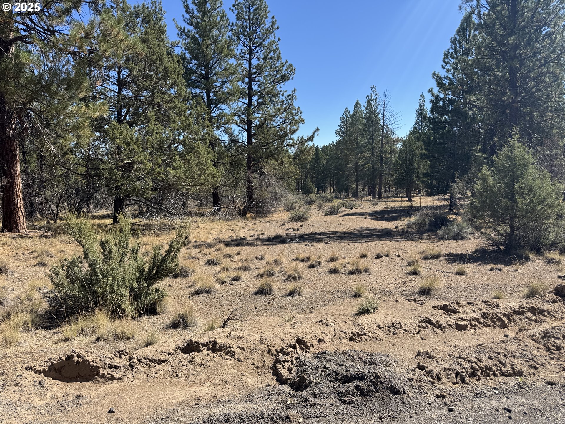 32818 Jean Street Chiloquin, OR 97624 - Photo 2 of 37