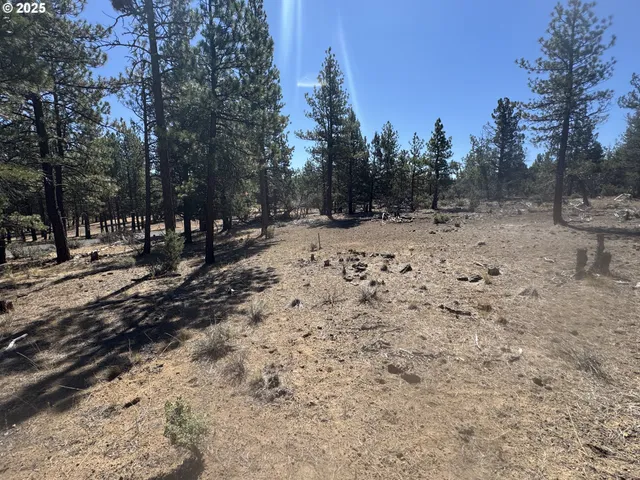 a view of outdoor space with trees