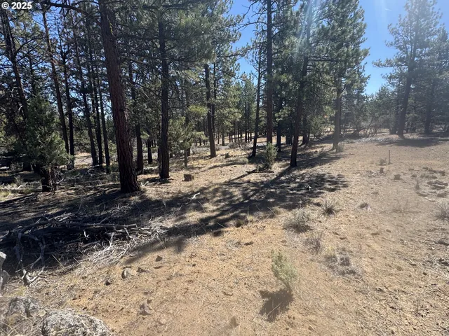 a view of outdoor space with lots of trees