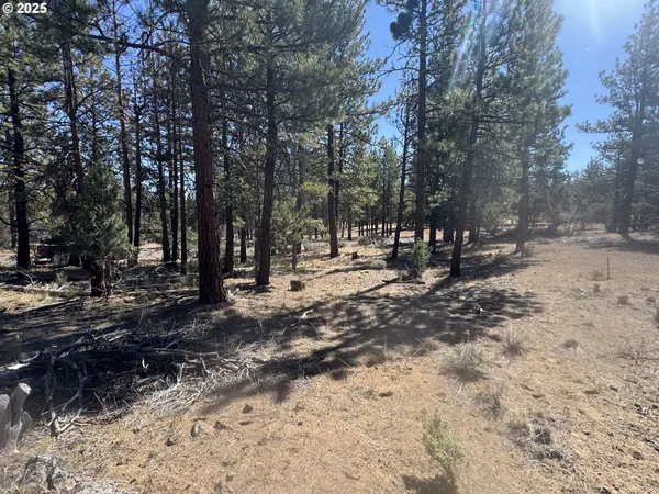 a view of outdoor space with trees