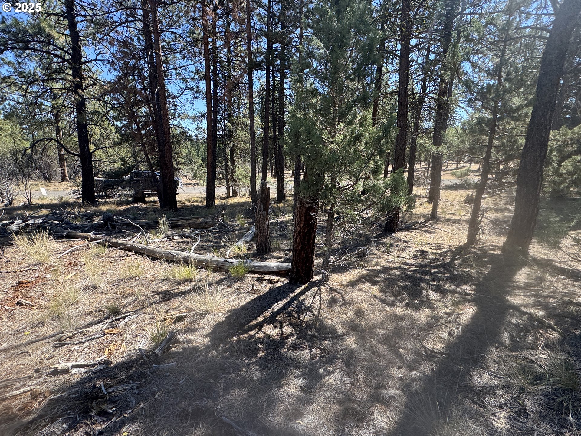 32818 Jean Street Chiloquin, OR 97624 - Photo 27 of 37 a view of a forest filled with trees