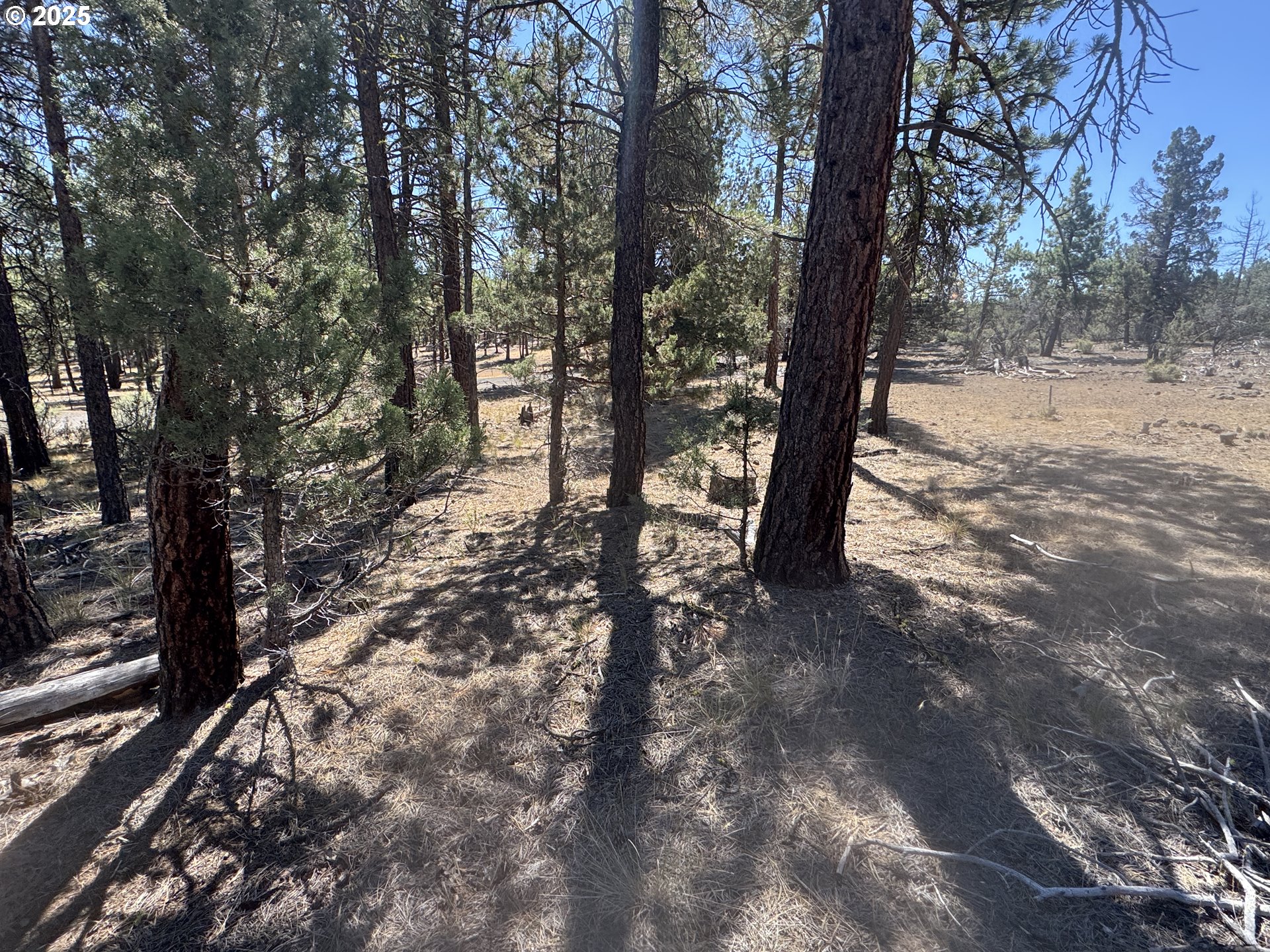 32818 Jean Street Chiloquin, OR 97624 - Photo 28 of 37 a view of outdoor space with lots of trees