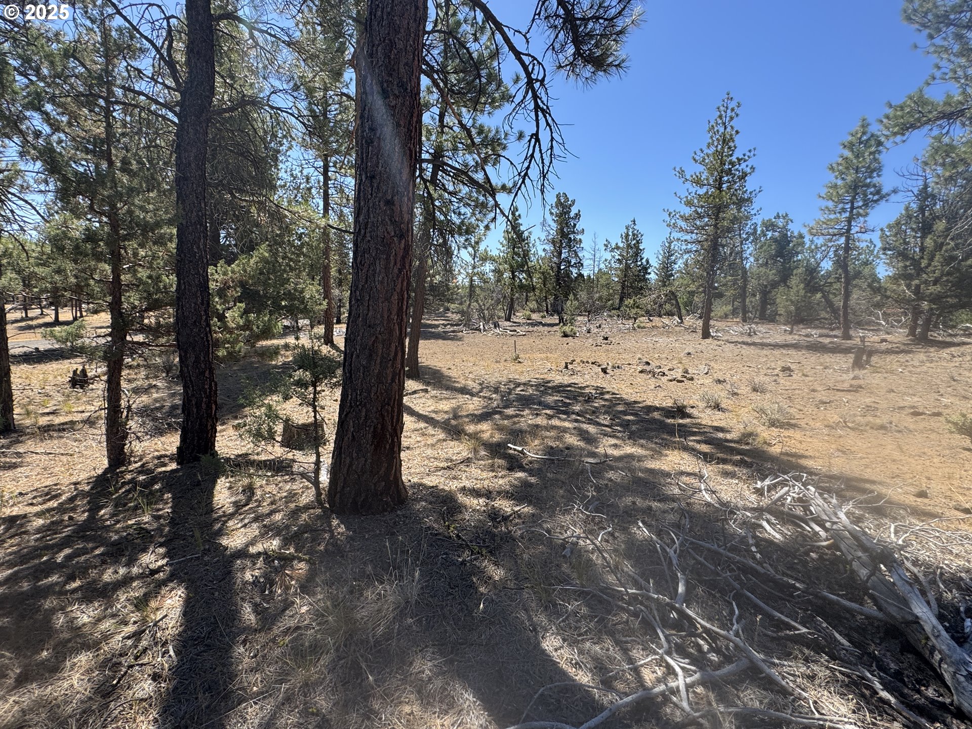32818 Jean Street Chiloquin, OR 97624 - Photo 29 of 37 a view of outdoor space with trees