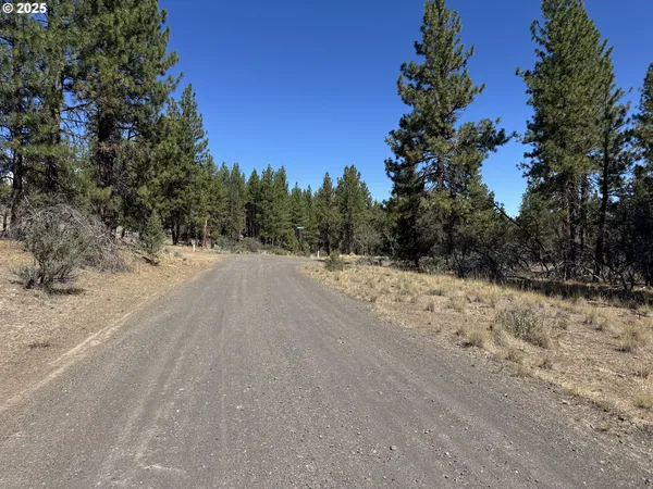 a view of a dry yard with trees