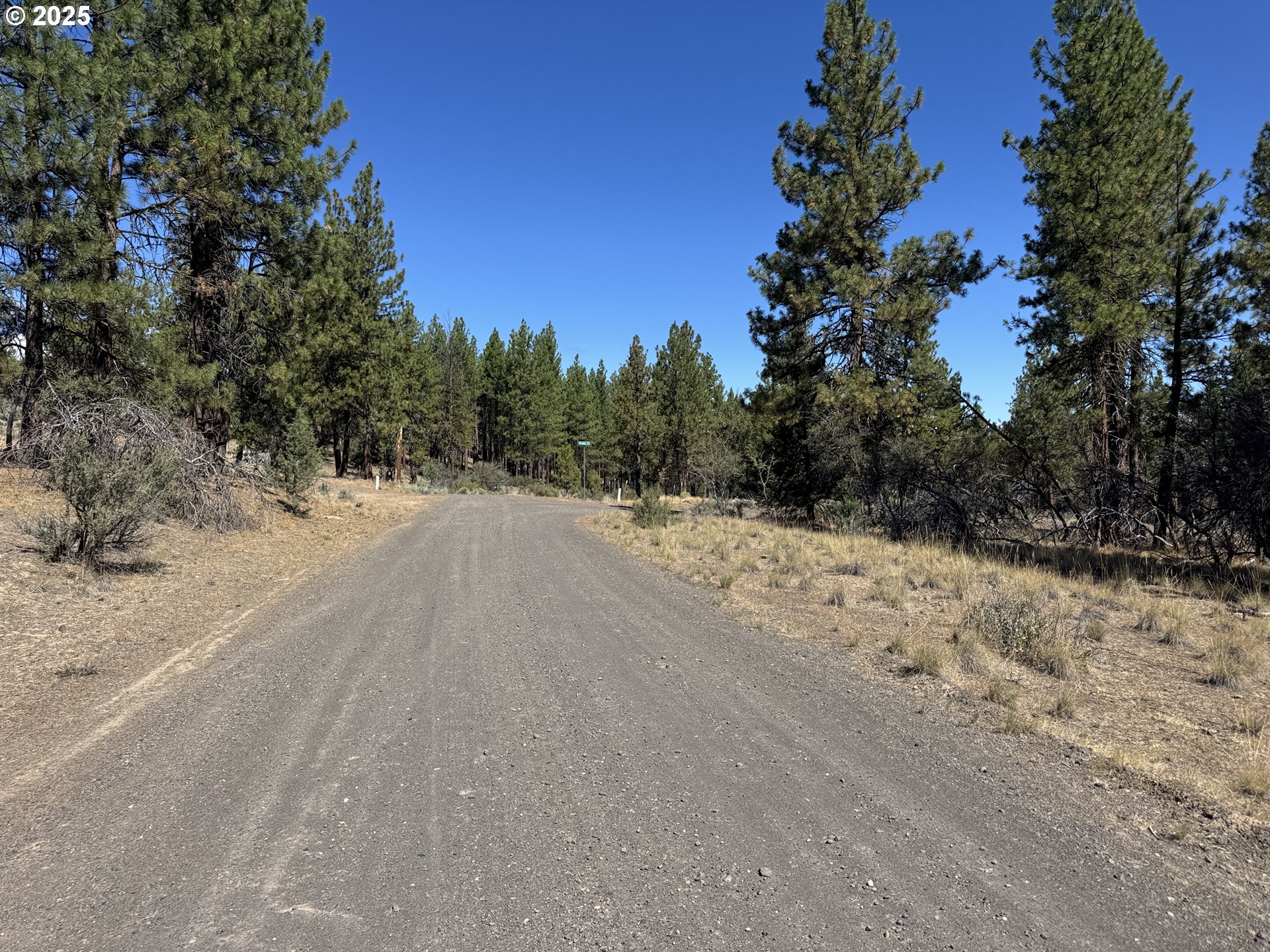 32818 Jean Street Chiloquin, OR 97624 - Photo 3 of 37 a view of a road with trees in the background
