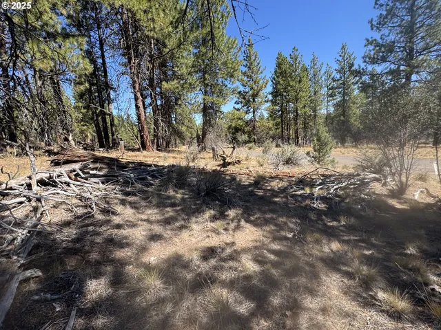a view of a lake with lots of trees
