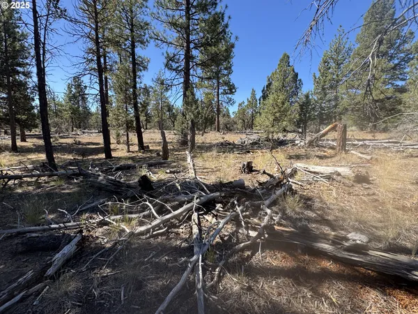 $15,000 | 32818 Jean Street, Chiloquin, OR 97624