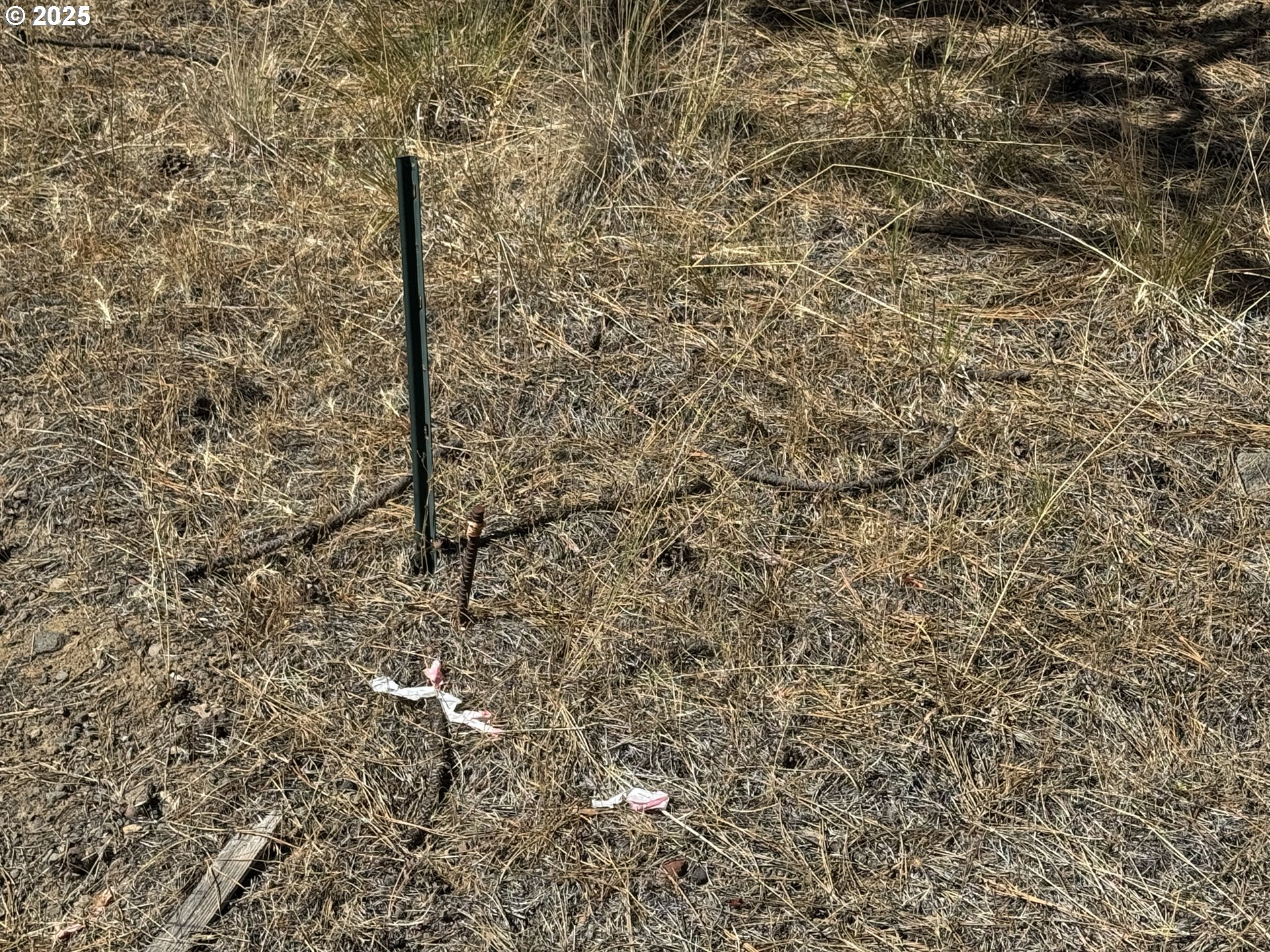 32818 Jean Street Chiloquin, OR 97624 - Photo 7 of 37