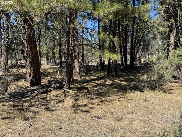 a backyard of a house with large trees