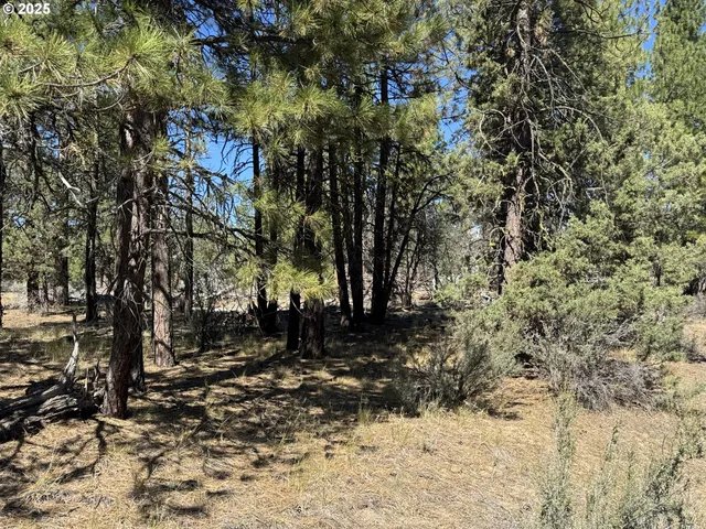 a view of road with trees