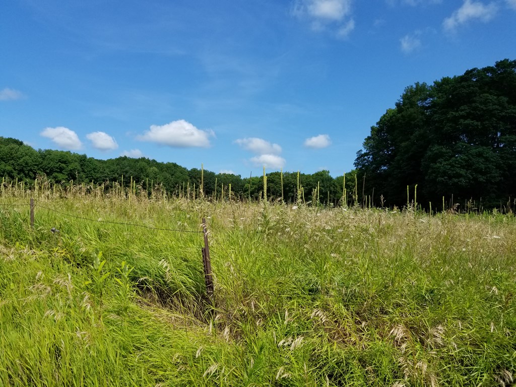 Lot A Sampson Road Abrams, WI 54101 - Photo 2 of 2
