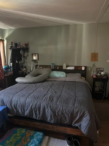 a bedroom with a bed and dresser