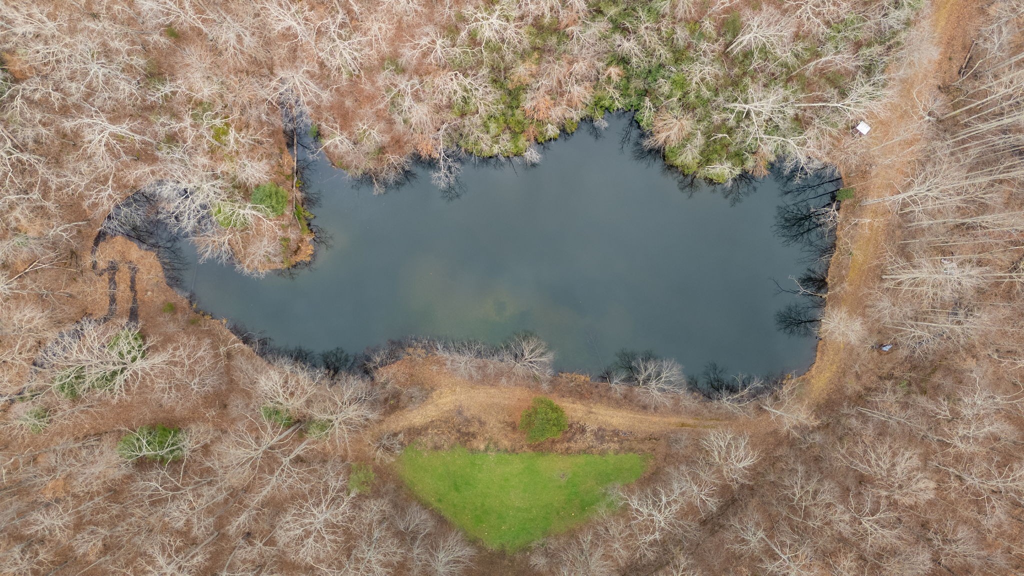 942 Rockhouse Road Hohenwald, TN 38462 - Photo 2 of 68