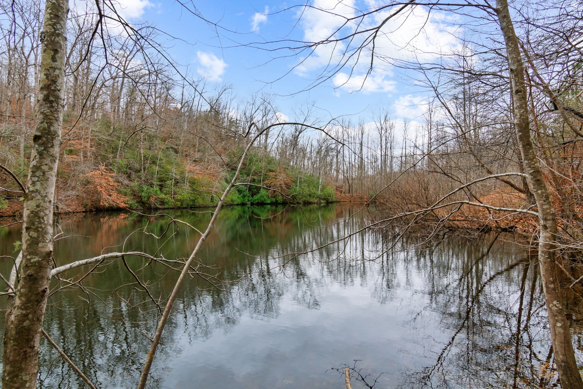 942 Rockhouse Road Hohenwald, TN 38462 - Photo 22 of 68